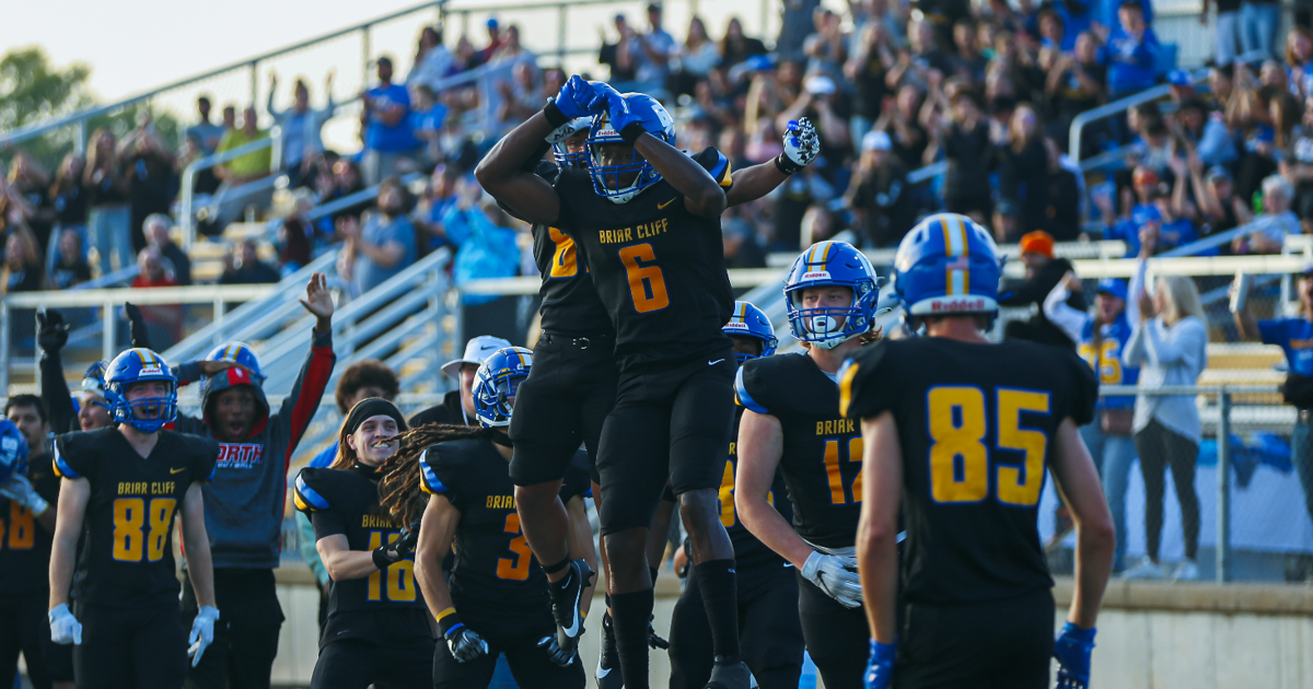 Briar Cliff University