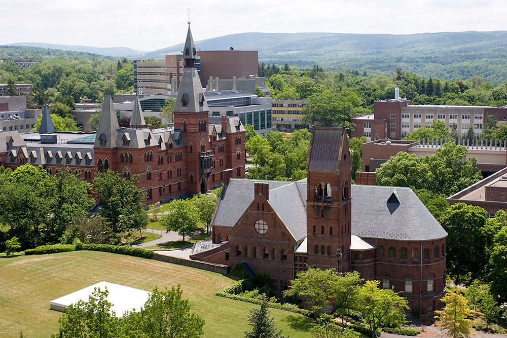 Ithaca College Athleticademix